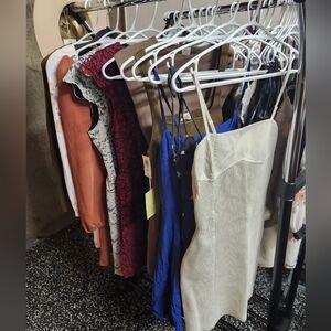 Aritzia Dress Collection